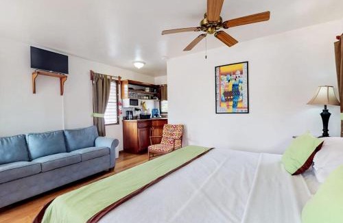 Hopkins Apartment | Green Iguana at Latitude Adjustment -Gold Standard Certified