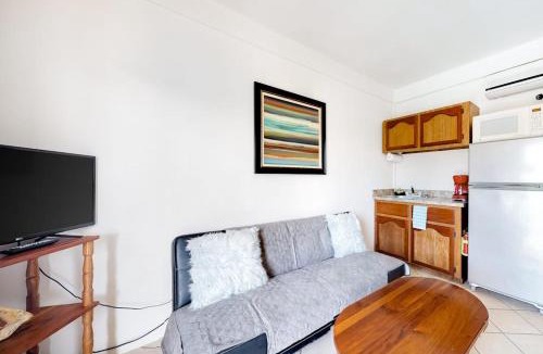Caye Caulker Apartment | Charming Suite with WiFi AC Shared Pool Grill Area & Rooftop Deck