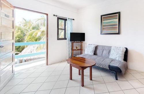 Caye Caulker Apartment | Charming Suite with WiFi AC Shared Pool Grill Area & Rooftop Deck