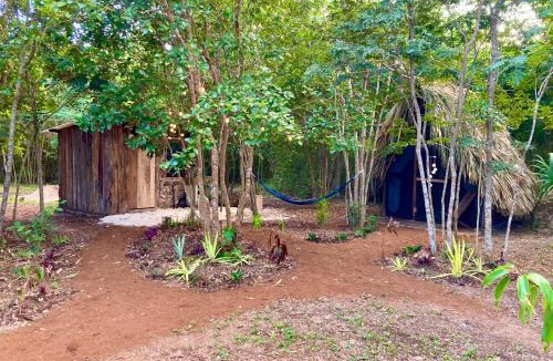 Corozal District House | Eco Farmstay near Corozal Belize Quiet Nature Stay