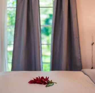 Bullet Tree Falls Villa | Villa Massis Luxury Villas