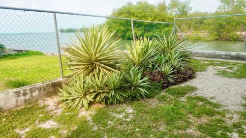 Belize City Apartment | See Belize SUNRISE Sea View Studio with Pool & Deck near Airport, Restaurant, Bar & Casino