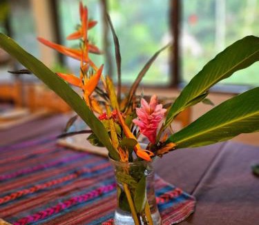 Jacinto Ville Hotel | Creekside Oasis