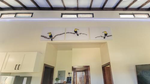Armenia House | Modern Toucan Farmhouse - Belmopan Escape