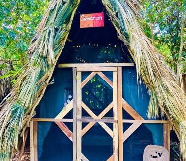 Corozal District House | Eco Farmstay near Corozal Belize Quiet Nature Stay