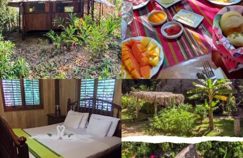 Big Fall Bed & Breakfast | Sun Creek Lodge