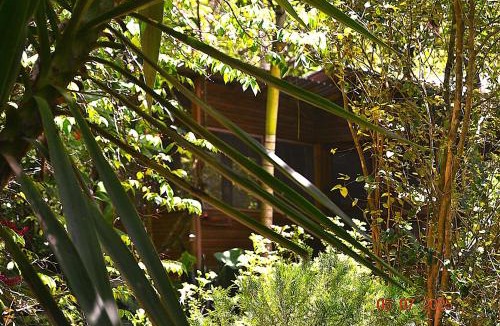 San Ignacio House | Private 2-Bedroom Jungle Cabin in Tropical Garden, San Ignacio