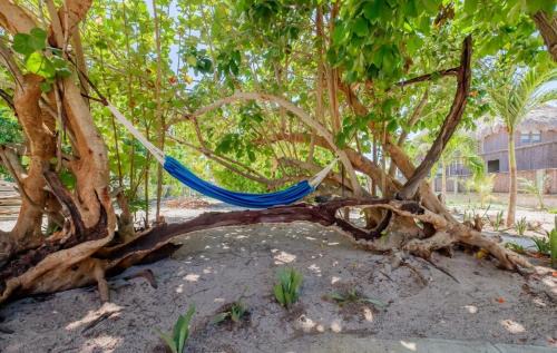 Caye Caulker House | Infinite Sea - 3 bed 2 bath Upper Unit Caye Caulker