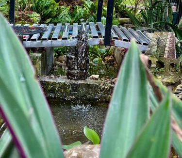 Orange Walk Hostel | Casa Ricky's