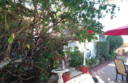 Vista Del Mar House | Cozy Studio Apartment-Free airport pickup and drop off