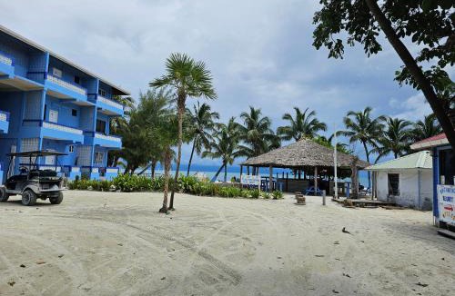 Caye Caulker Hotel | Anchorage Beach Resort Caye Caulker