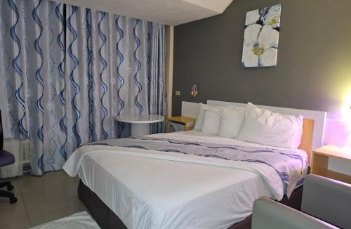 Belize City Hotel | Golden Tree Hotel Belize