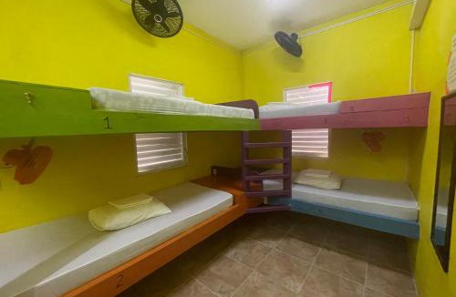Caye Caulker Hostel | Travellers Palm Backpackers