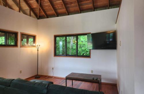 Bullet Tree Falls House | Turtle Suite
