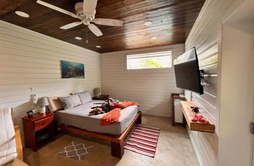 Caribbean Way House | La Vida Belize - Studio