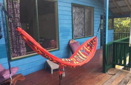 Burrell Boom House | Amazing Jungle Tree House right over the river with bikes and canoe