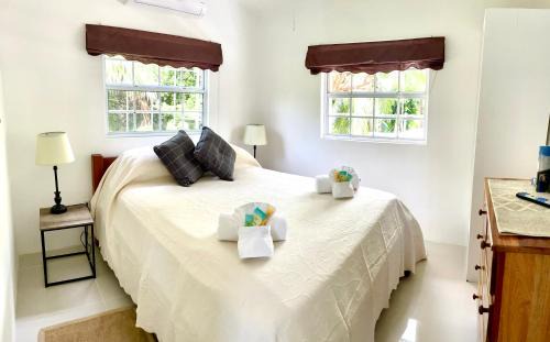 Caye Caulker Villa | Hummingbirds Cabins