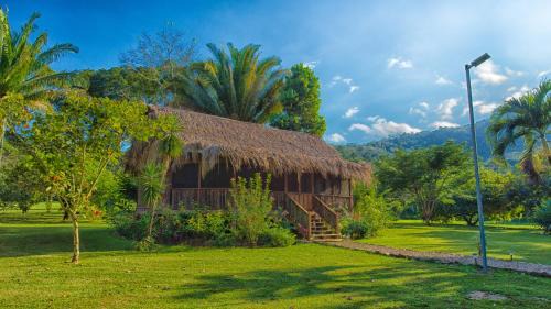 Hopkins Resort | Bocawina Rainforest Resort