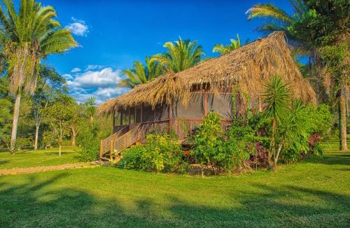Hopkins Resort | Bocawina Rainforest Resort