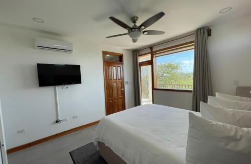 San Pedro Apartment | Mariposa Jungle Lodge