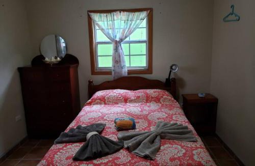 Caye Caulker Apartment | The Sands Inn-Ground Floor with Pool