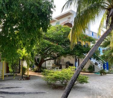 Caye Caulker House | JAGUAR MORNING STAR