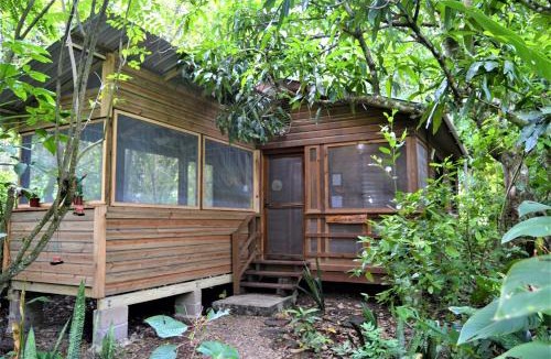 San Ignacio House | Private 2-Bedroom Jungle Cabin in Tropical Garden, San Ignacio