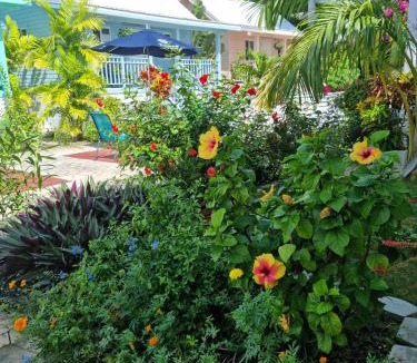 Fort George Hotel | Harbour View Boutique Hotel & Wellness Retreat