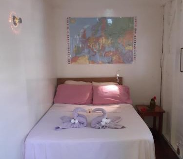 Hopkins Hostel | The Funky Dodo Backpackers Hostel