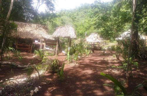 San Antonio Other | Caanah Mul Jungle Expedition