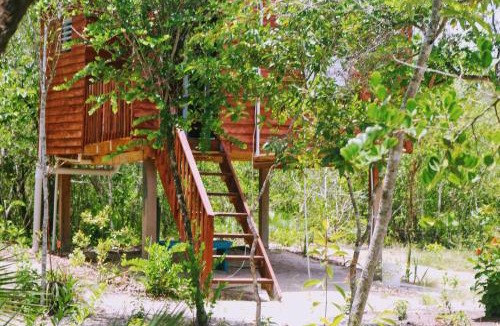 Hopkins Bed & Breakfast | Palmento Grove Garifuna Eco-Cultural & Healing Institute