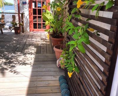 San Pedro Hotel | Ambergris Sunset Hotel