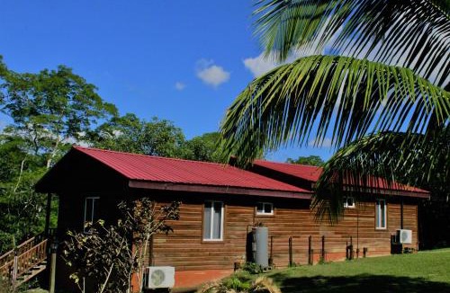 San Ignacio Resort | The Log Cab-Inn