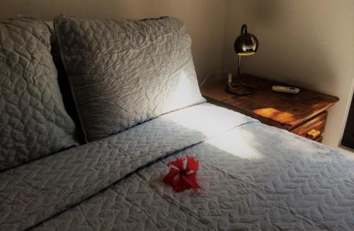 Placencia Hotel | Wild Orchid