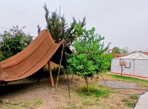 Bivouac Sahara sous in Freyja