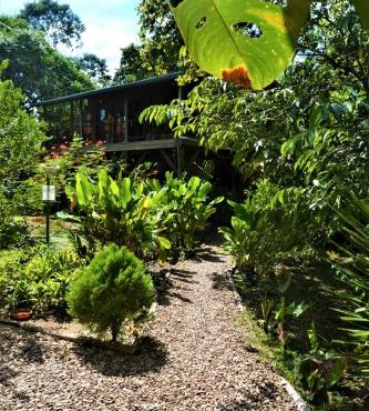 Unique Private Tree Top Cottage in Tropical Garden, Near San Ignacio Town