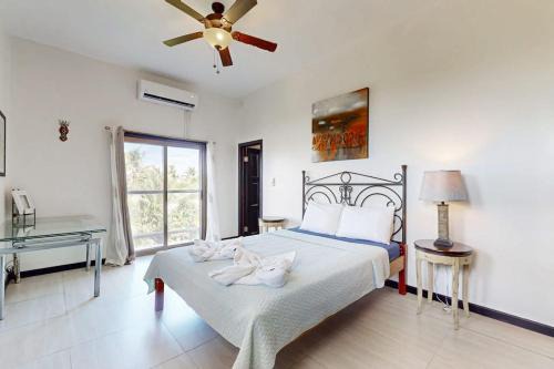Serene oceanfront condo with shared pool ocean view WiFi & partial AC