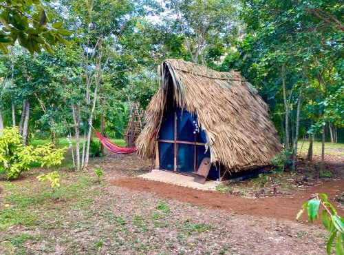 Eco Farmstay near Corozal Belize Quiet Nature Stay