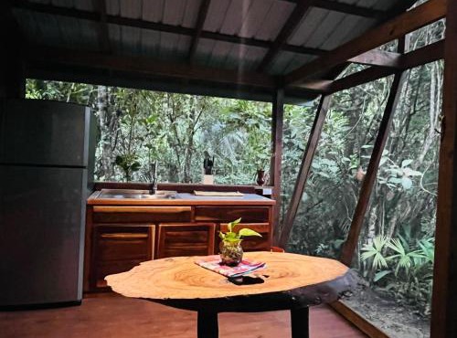 Green Jay Cabins