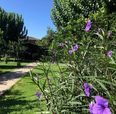 Ozge Bungalow Hotel in Cıralı