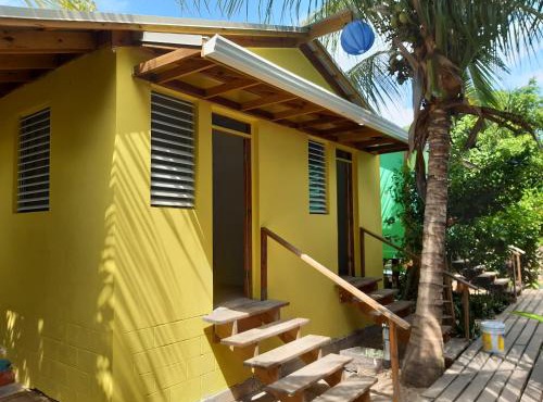 The Funky Dodo Backpackers Hostel