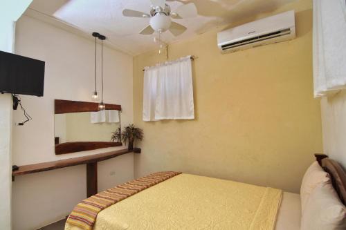 Rainforest Haven Inn